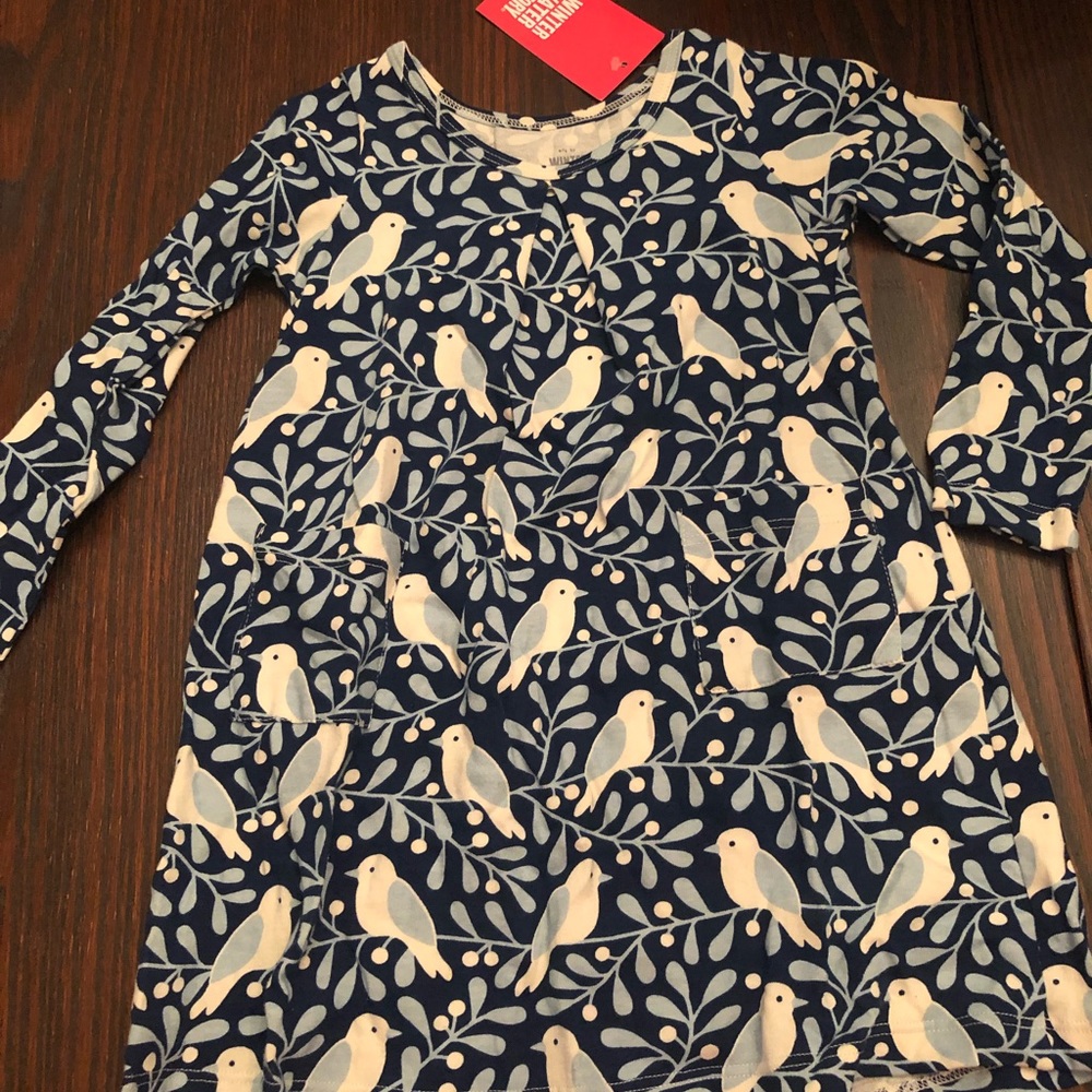 Adorable NWT dress 2T
